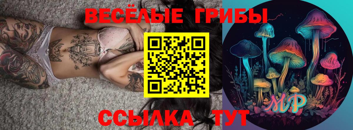 Псилоцибиновые грибы прущие грибы Партизанск