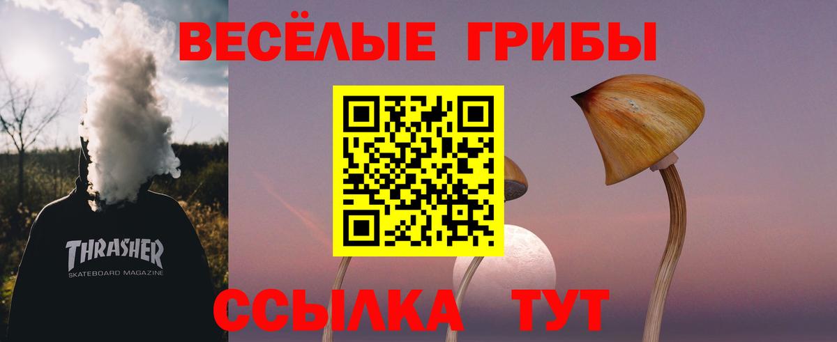 Псилоцибиновые грибы GOLDEN TEACHER  Вход с VPN  Партизанск 
