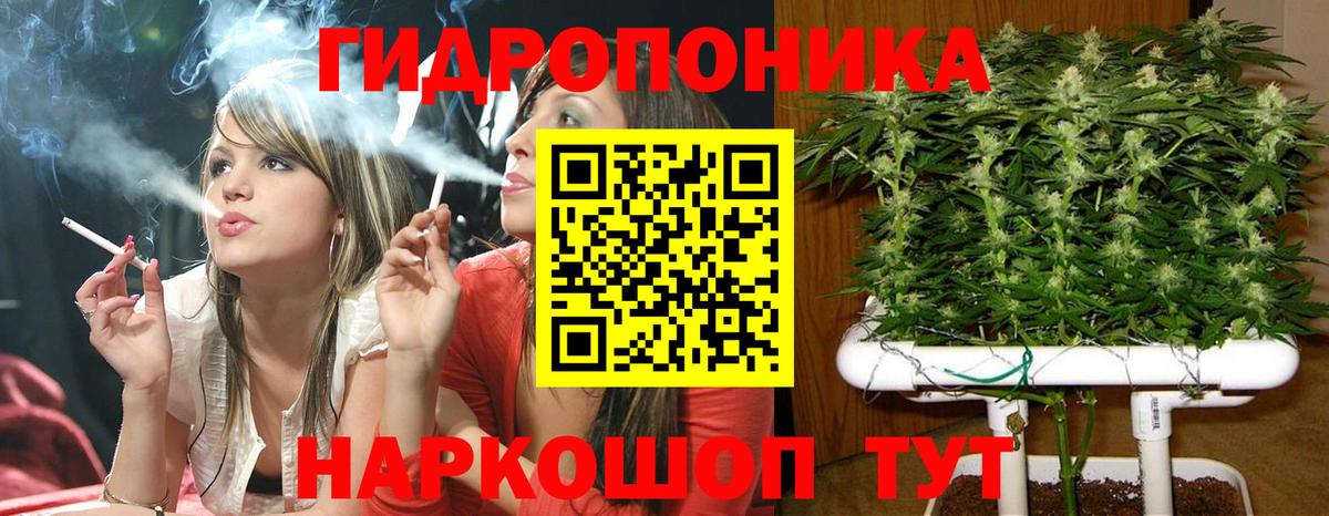 Бошки марихуана MAZAR  Бошки Шишки Bruce Banner  Вход с VPN  Каннабис тримм  Партизанск  Марихуана конопля 